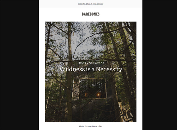 email-contest - RafflePress example of an email giveaway