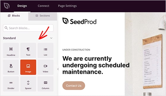Standard block options for SeedProd pages including text, images, and video