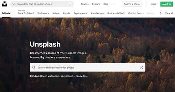 Unsplash website offering free images for blogs and websites