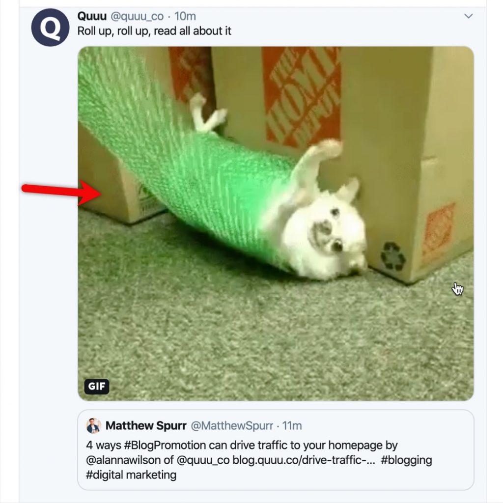 Engaging image shared on X to increase follower engagement