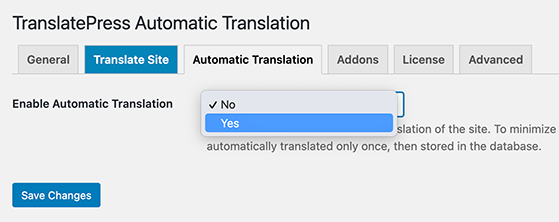 Enable automatic website translations