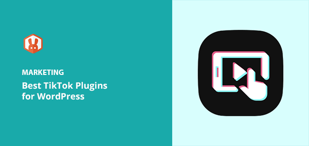 Best TikTok WordPress Plugins