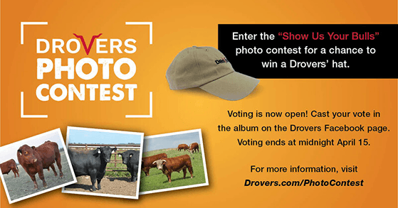 Photo contest example from Drovers where users vote on Facebook