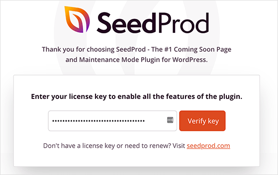 Enter SeedProd license key in WordPress dashboard