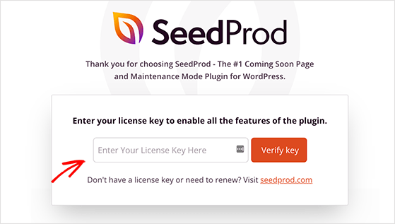 Field to enter and activate a SeedProd license key in WordPress dashboard