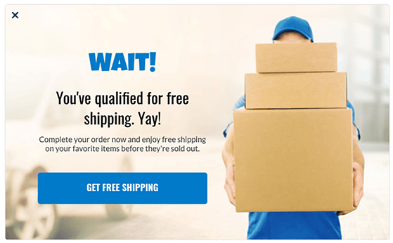 Ecommerce checkout banner offering free shipping as a holiday promotion