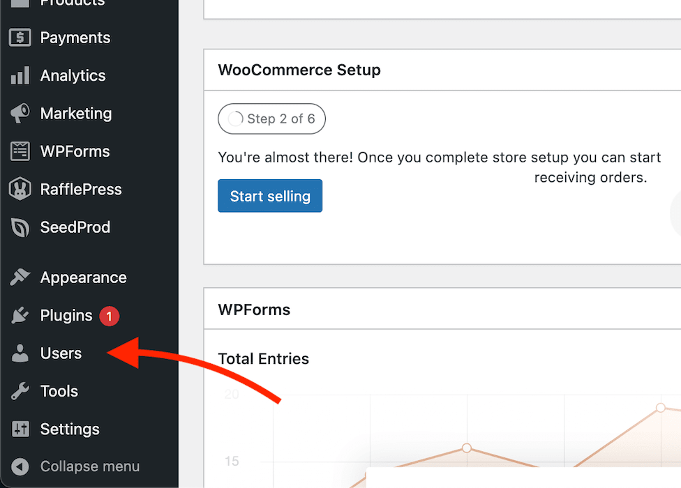 rafflepress-how-to-create-temp-admin-account-1 - RafflePress