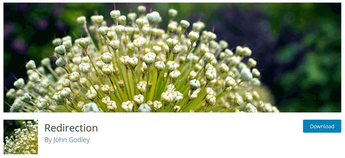 WordPress redirection plugin